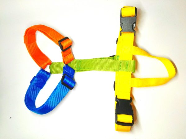 Pettorina Multicolor - immagine 8