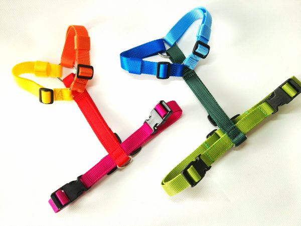 Pettorina Multicolor - immagine 6