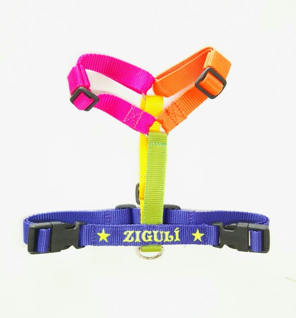 Pettorina Multicolor - immagine 7