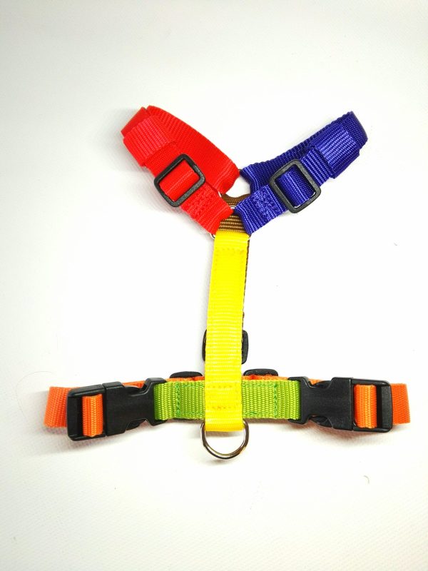 Pettorina Multicolor