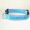 Collare Double 3 cm - immagine 4