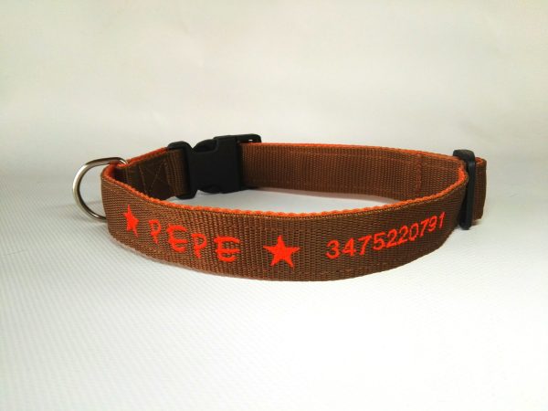 Collare Double 3 cm - immagine 5