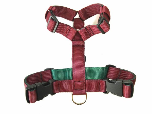 Pettorina Double - immagine 6