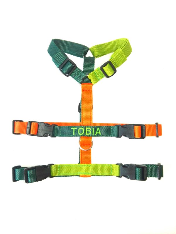 Pettorina Antifuga Multicolor - immagine 9