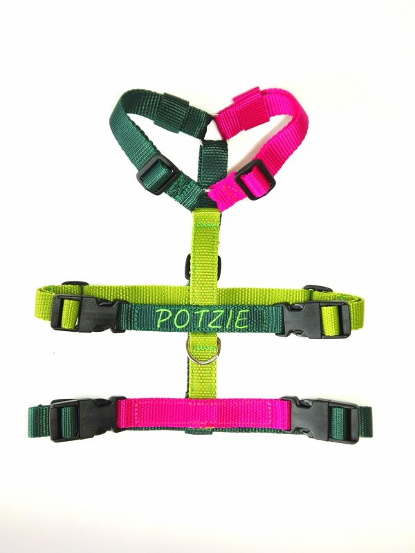 Pettorina Antifuga Multicolor - immagine 8