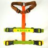 Pettorina Antifuga Multicolor - immagine 6