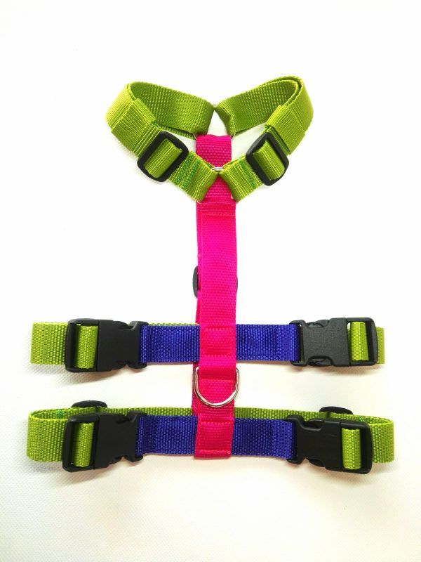 Pettorina Antifuga Multicolor