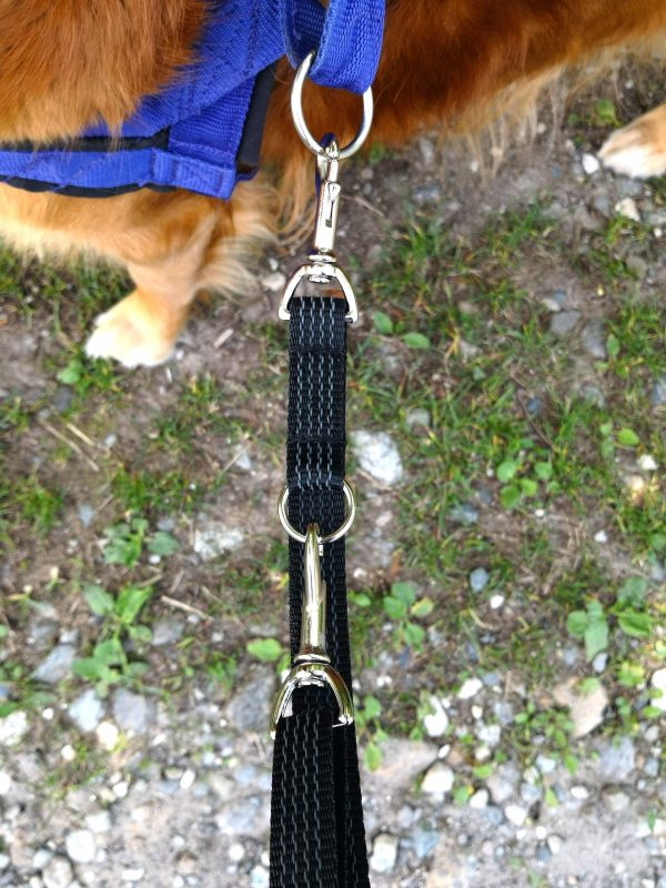 Guinzaglio Grip 3 mt  Con Moschettone su Maniglia M - immagine 2