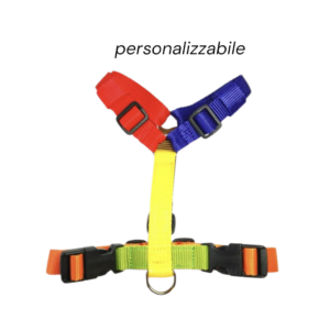 Pettorina Multicolor
