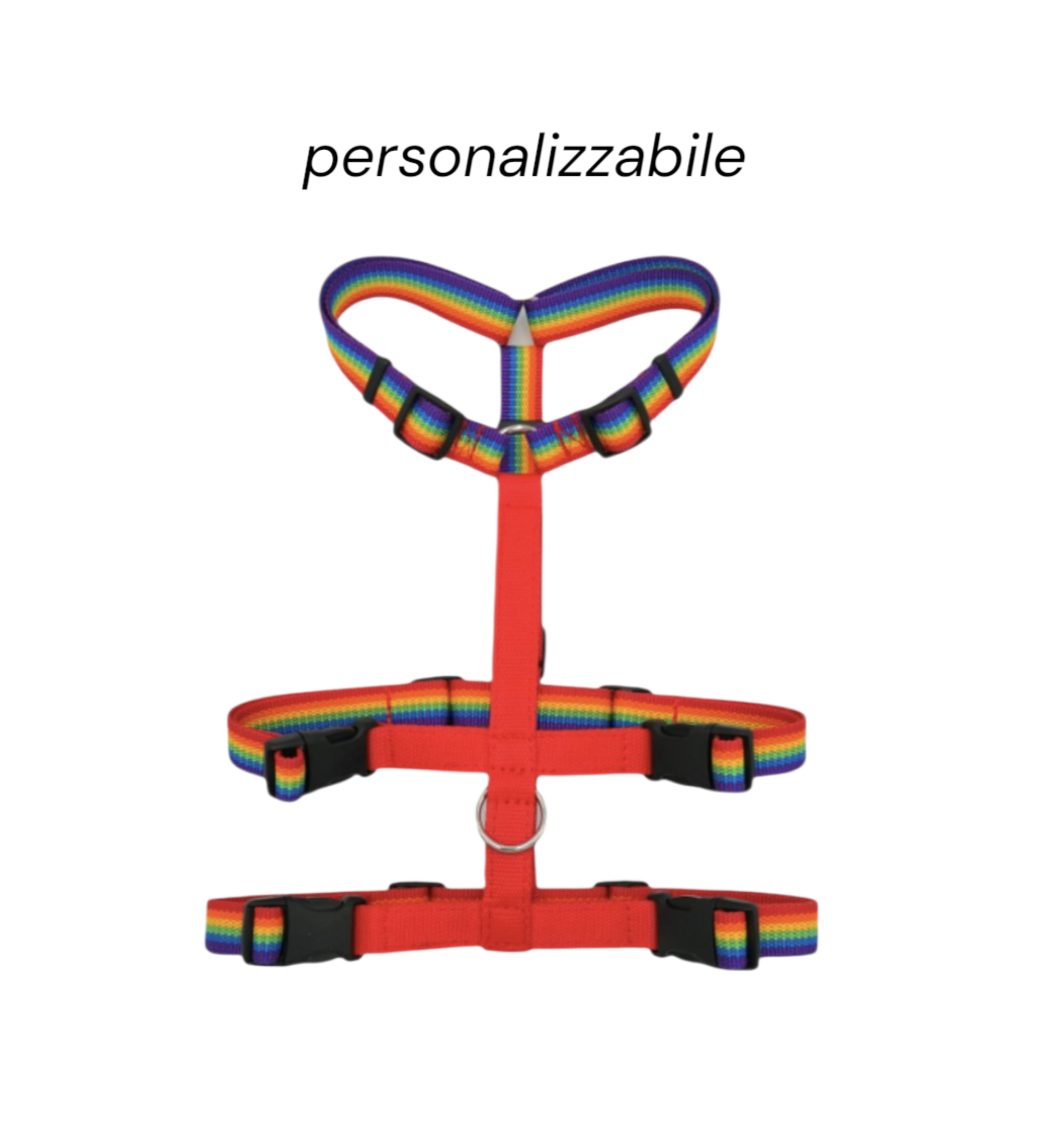 Pettorina Antifuga arcobaleno