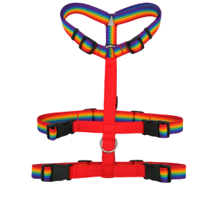 Pettorina Antifuga arcobaleno