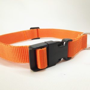 Collare Light 2 cm