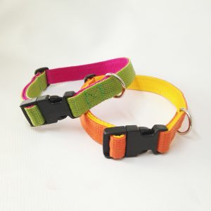 Collare Double 2 cm