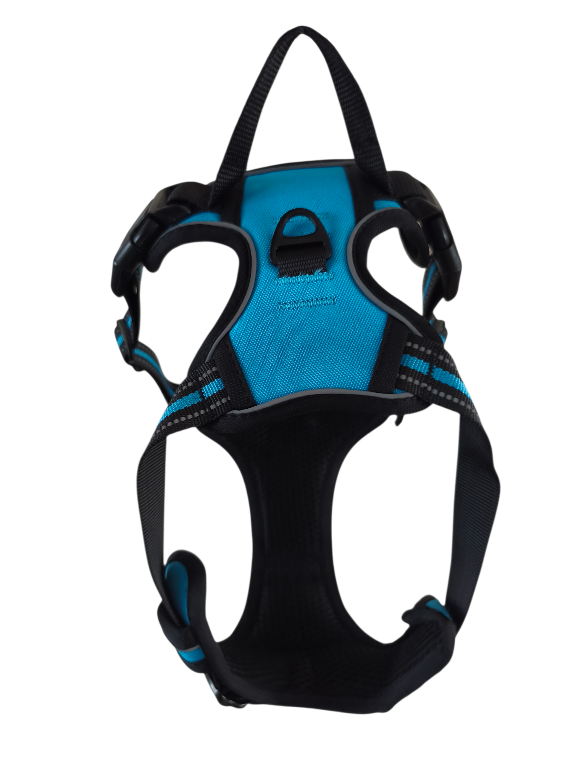 Pettorina Comfort azzurra - immagine 2