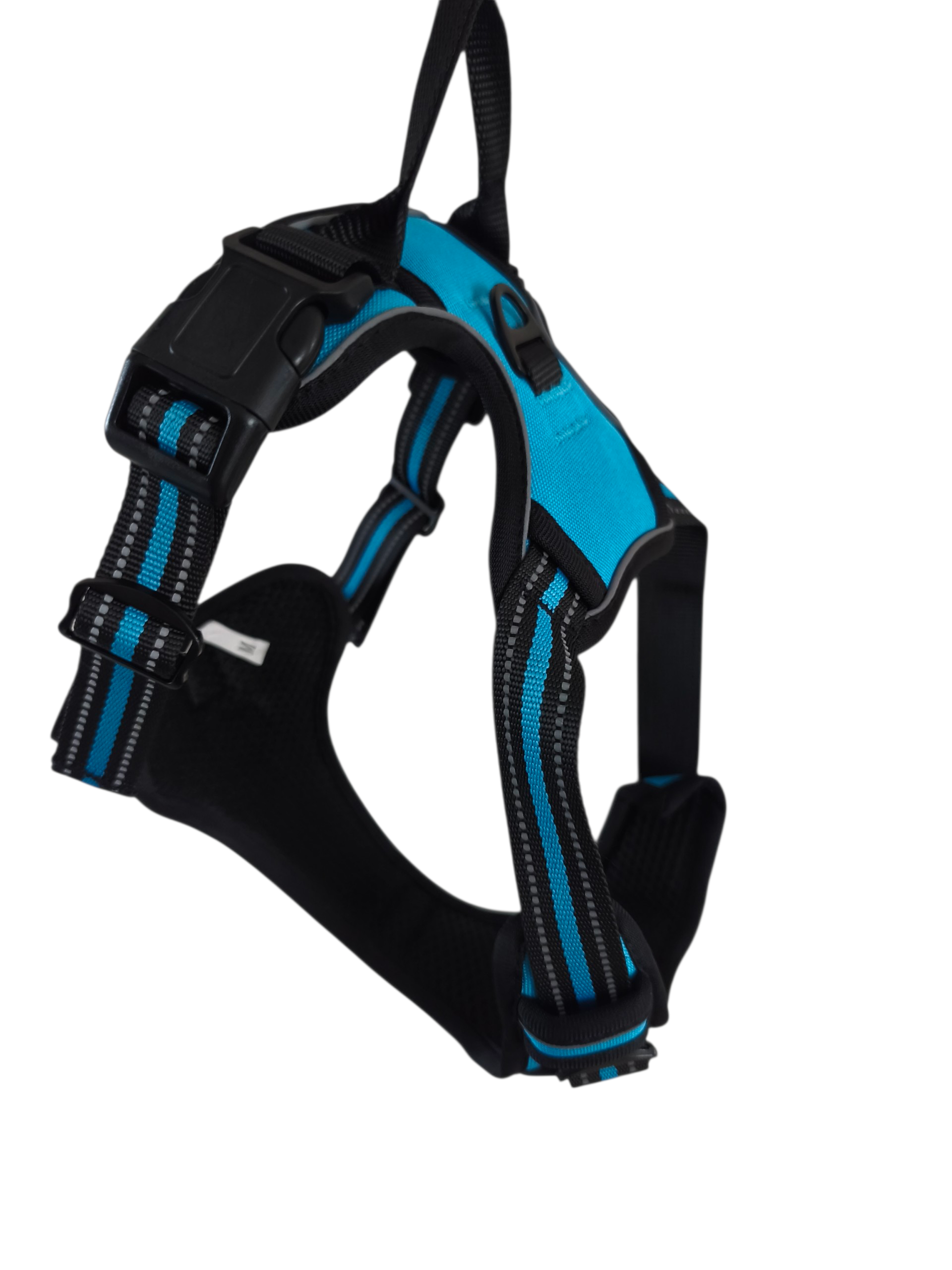 Pettorina Comfort azzurra