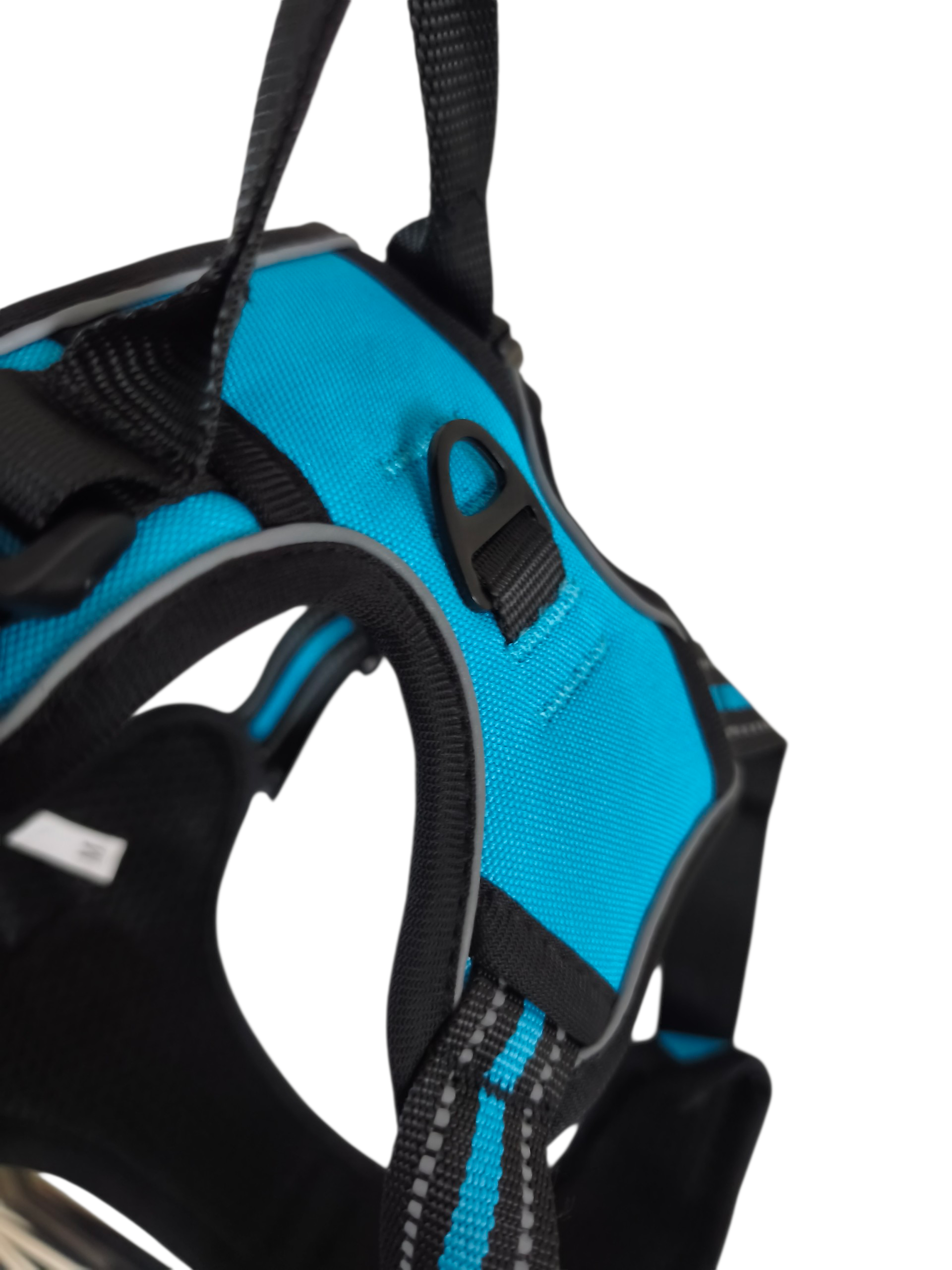 Pettorina Comfort azzurra - immagine 3