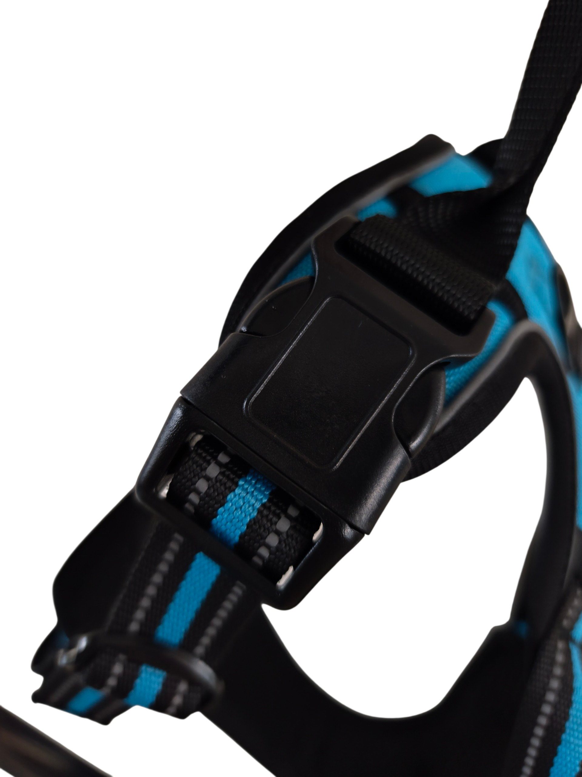 Pettorina Comfort azzurra - immagine 4