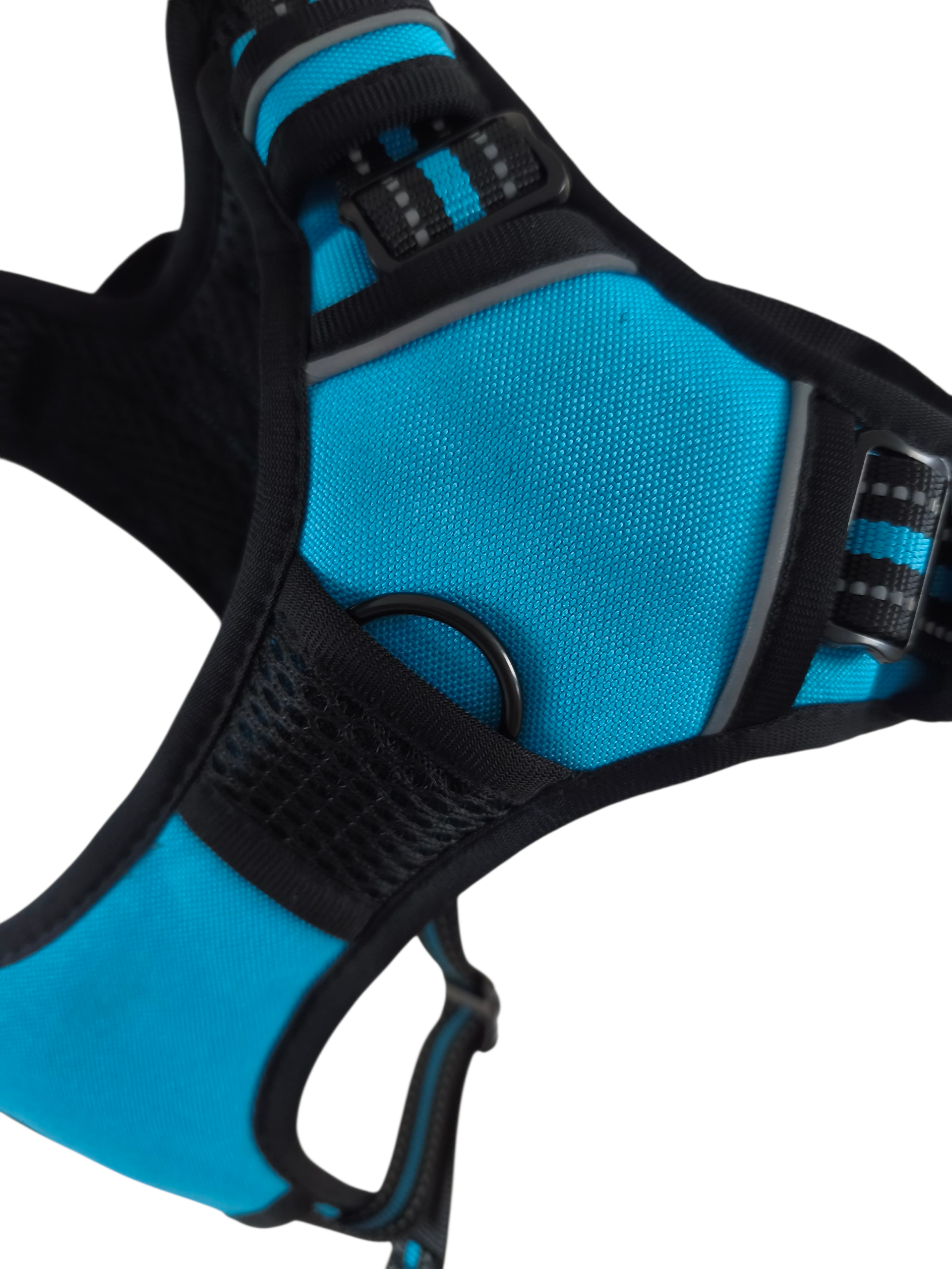 Pettorina Comfort azzurra - immagine 5