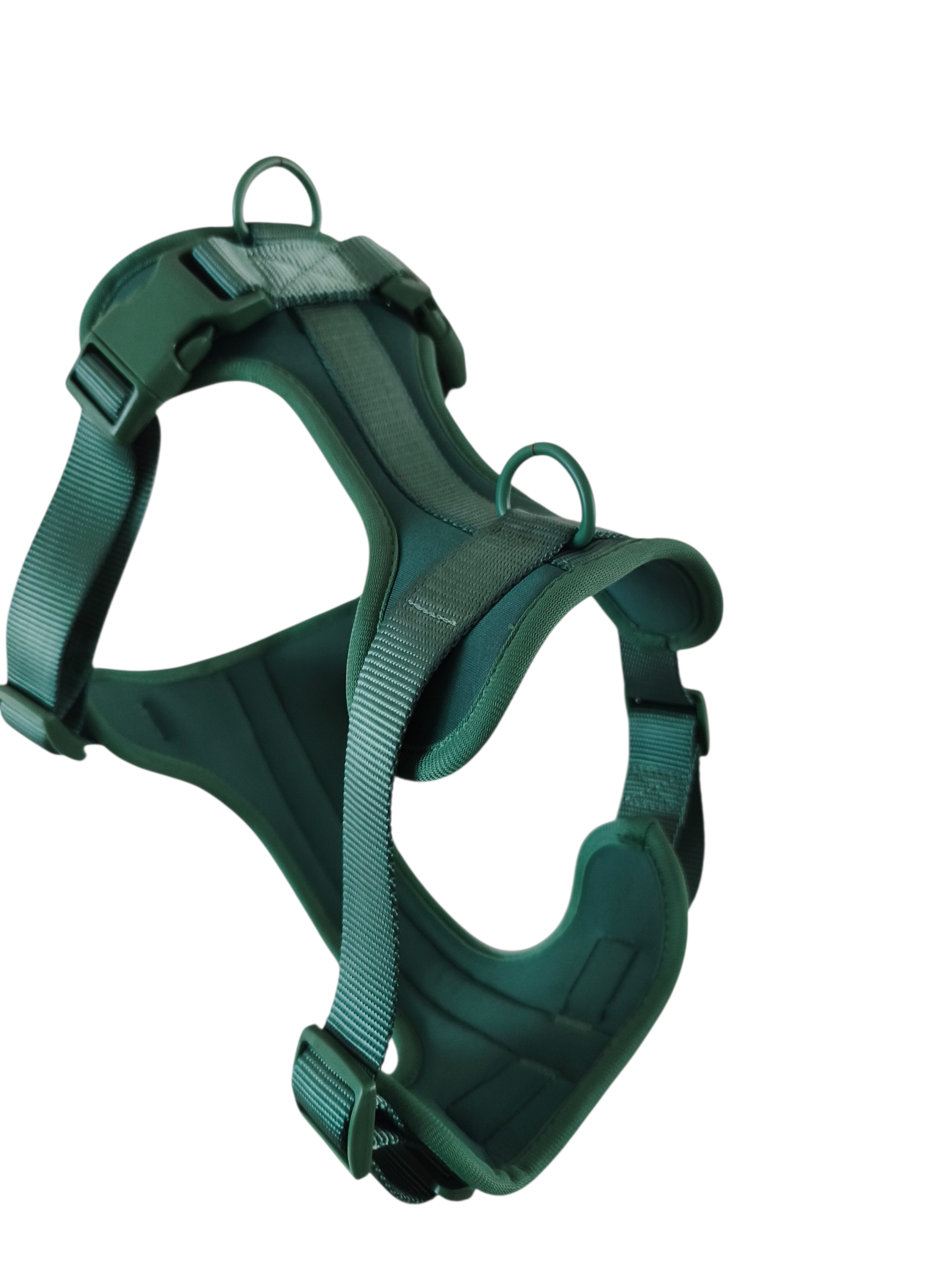 Pettorina Star verde