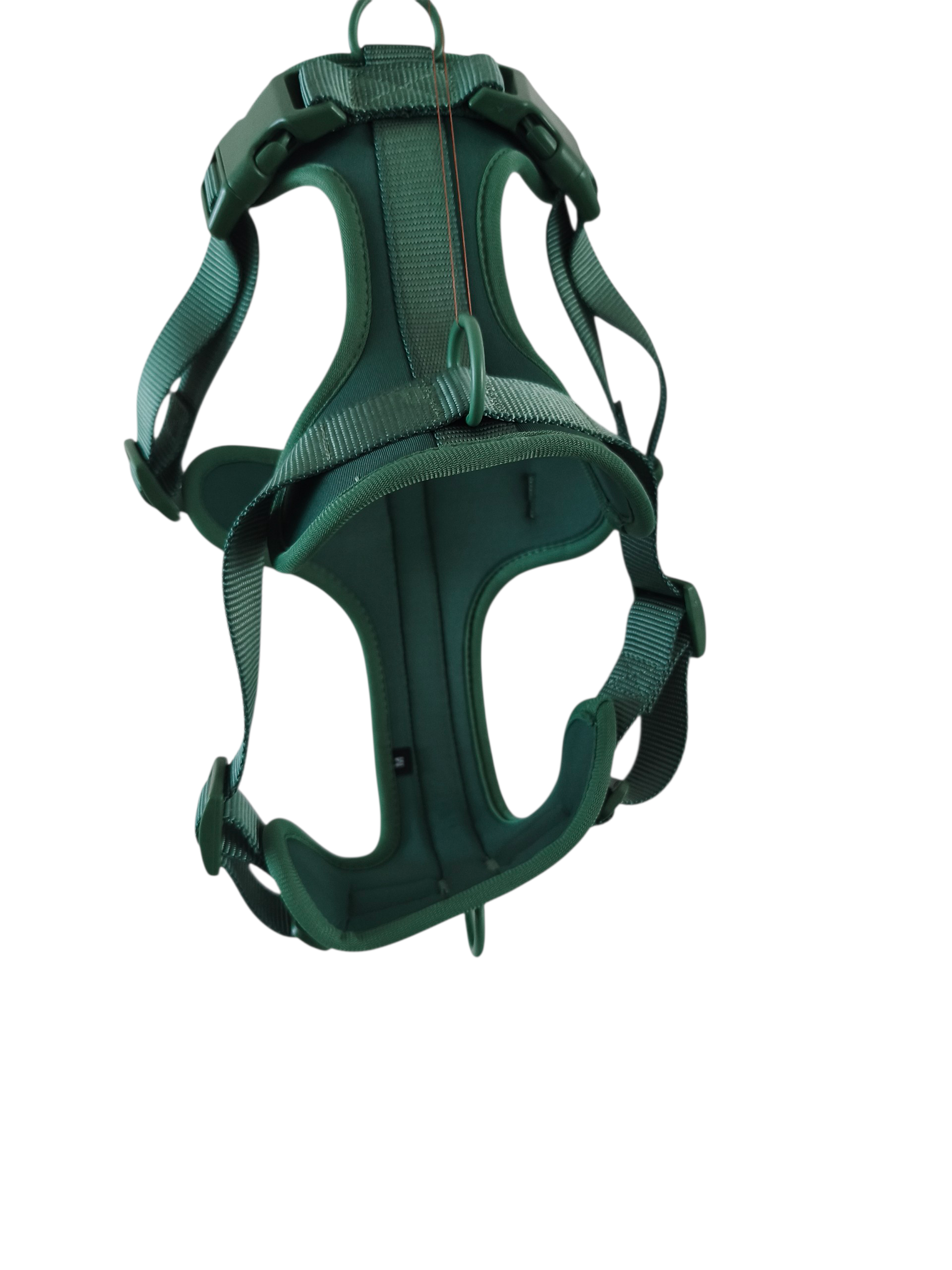 Pettorina Star verde - immagine 3