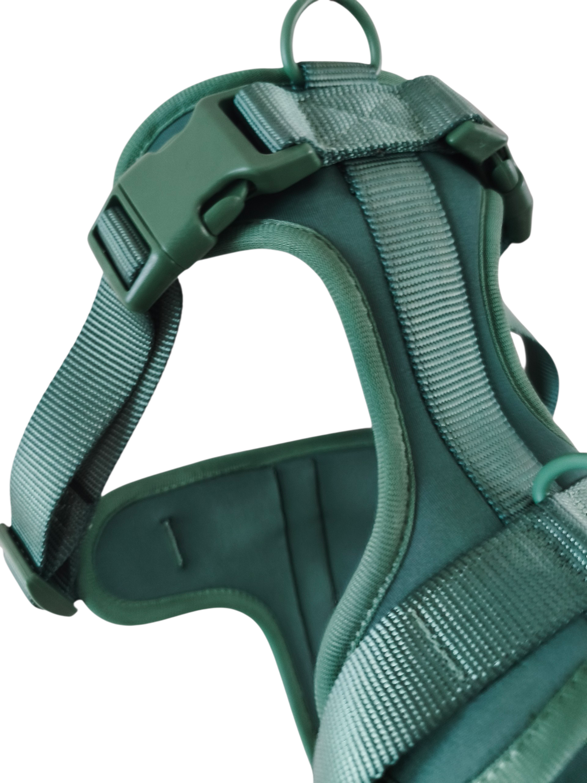 Pettorina Star verde - immagine 4